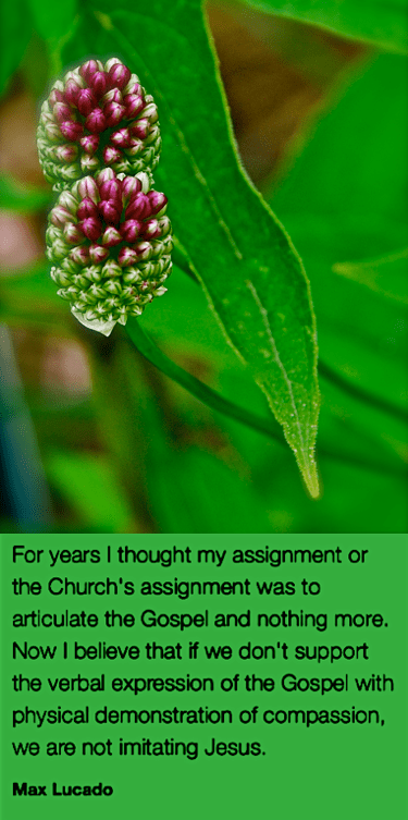 Screen Shot 2017-05-06 at 9.24.24 PM.png