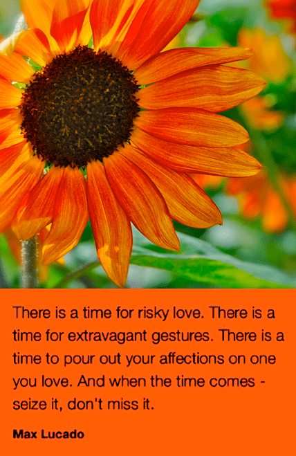 Screen Shot 2017-05-06 at 9.29.44 PM.png