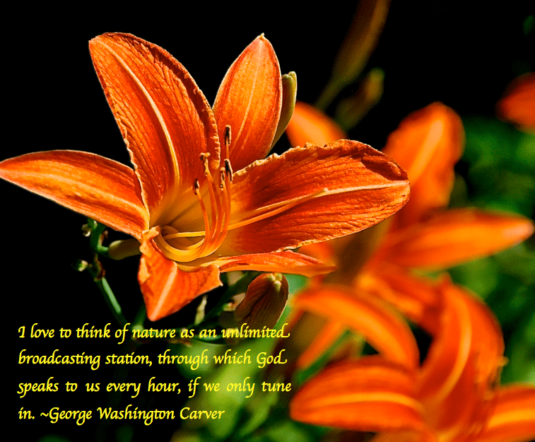 Screen Shot 2017-05-08 at 10.39.47 PM.png