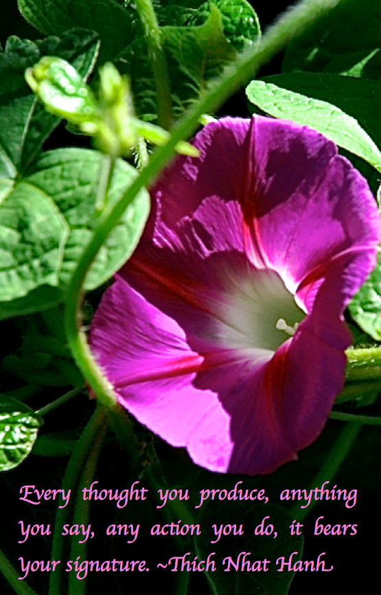 Screen Shot 2017-05-08 at 10.44.12 PM.png