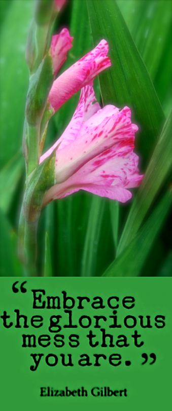 Screen Shot 2017-05-10 at 10.11.43 PM.png