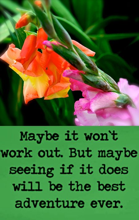 Screen Shot 2017-05-10 at 10.14.35 PM.png