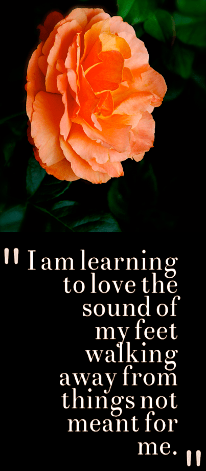 Screen Shot 2017-05-10 at 10.16.14 PM.png