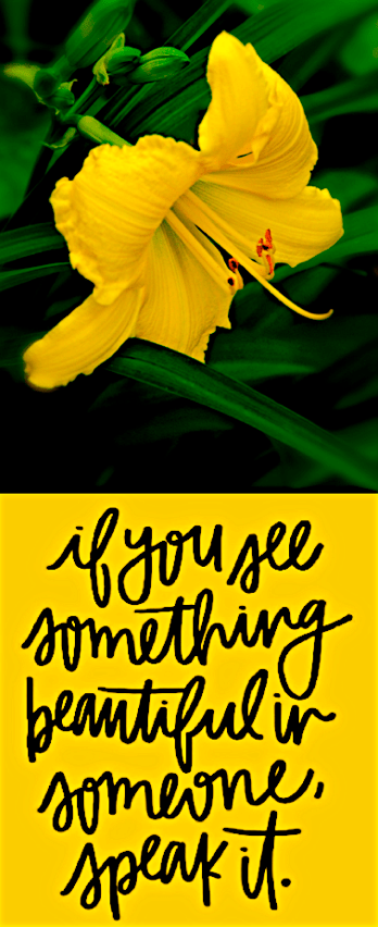 Screen Shot 2017-05-10 at 11.33.42 PM.png