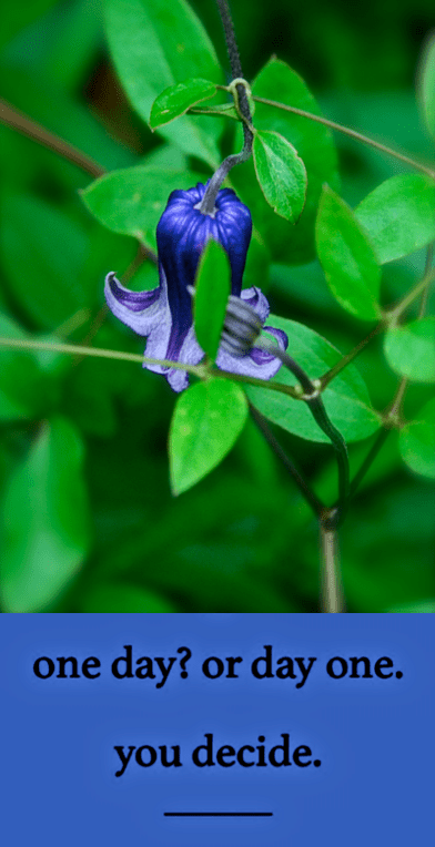 Screen Shot 2017-05-10 at 9.50.35 PM.png