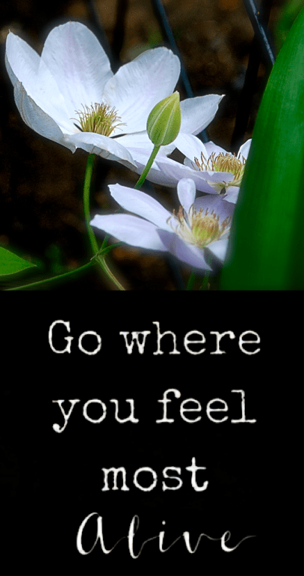 Screen Shot 2017-05-10 at 9.56.36 PM.png