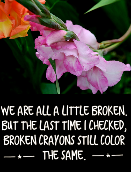 Screen Shot 2017-05-10 at 9.58.26 PM.png