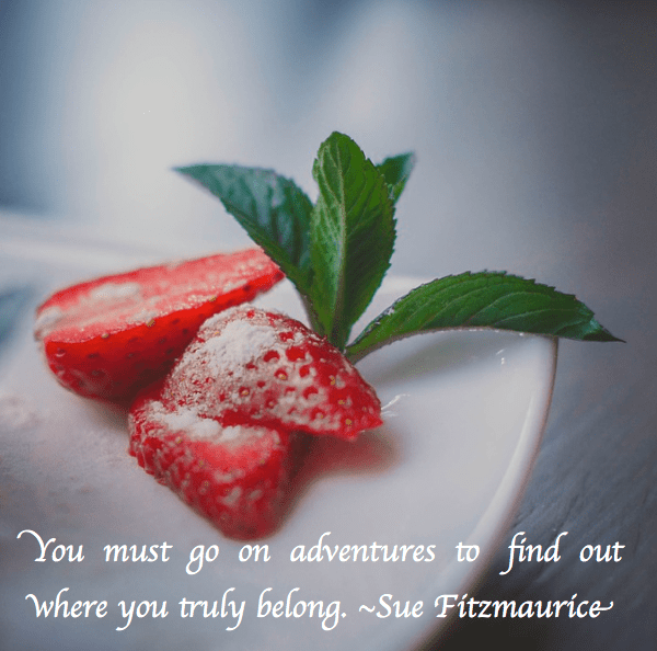 Screen Shot 2017-05-11 at 12.01.02 AM.png