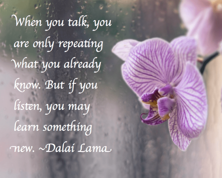 Screen Shot 2017-05-11 at 12.03.18 AM.png