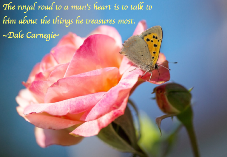 Screen Shot 2017-05-13 at 10.26.10 PM.png