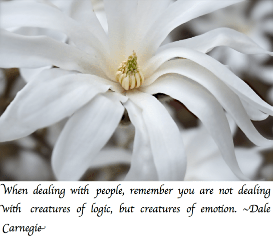 Screen Shot 2017-05-13 at 10.34.33 PM.png