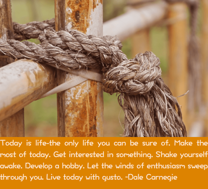 Screen Shot 2017-05-13 at 10.44.25 PM.png