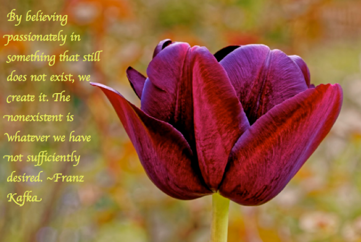 Screen Shot 2017-05-13 at 10.51.36 PM.png