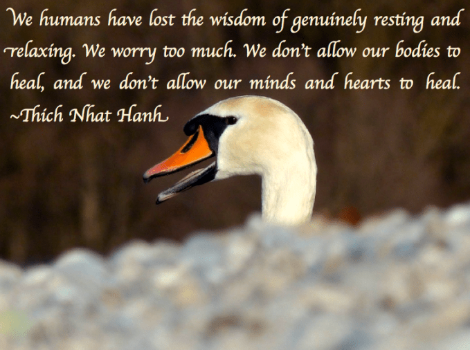 Screen Shot 2017-05-13 at 11.01.11 PM.png