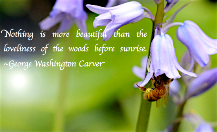 Screen Shot 2017-05-13 at 11.05.17 PM.png