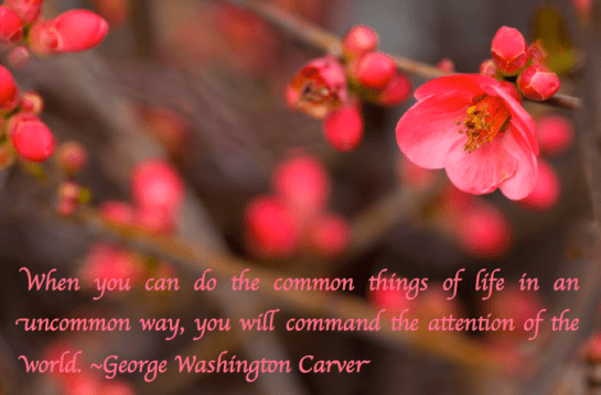 Screen Shot 2017-05-13 at 11.08.42 PM.png