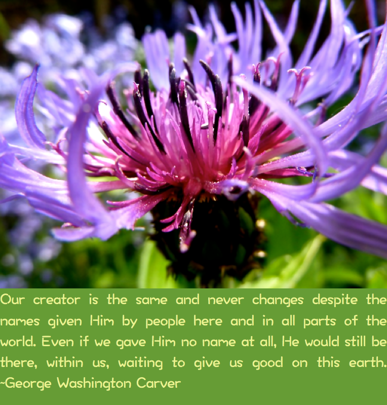 Screen Shot 2017-05-13 at 11.15.34 PM.png