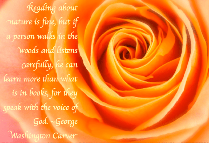 Screen Shot 2017-05-13 at 11.20.28 PM.png