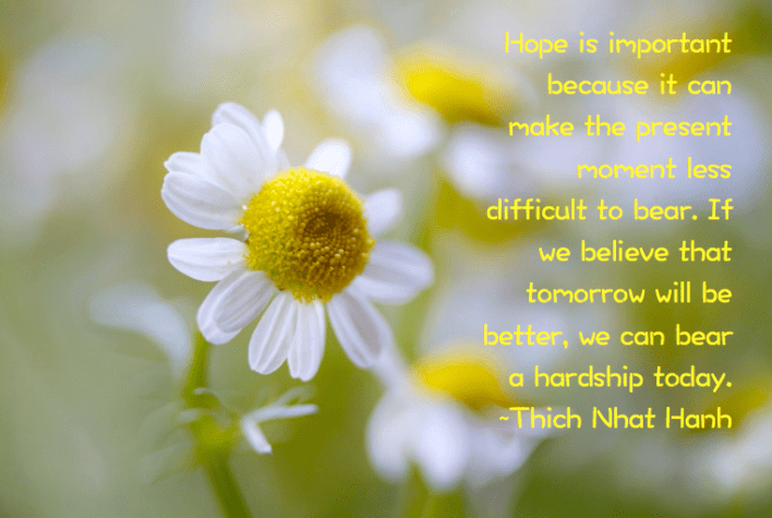 Screen Shot 2017-05-13 at 11.27.02 PM.png