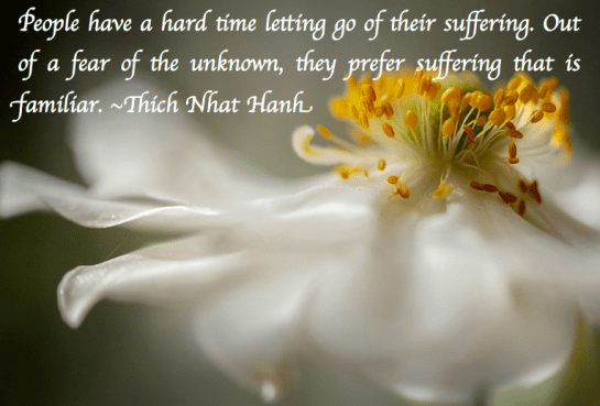 Screen Shot 2017-05-13 at 11.31.08 PM.png