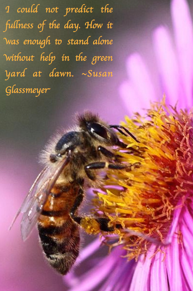 Screen Shot 2017-05-15 at 10.45.00 PM.png