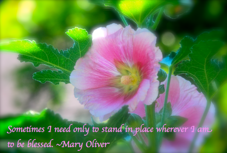 Screen Shot 2017-05-18 at 10.50.45 PM.png