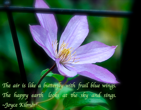 Screen Shot 2017-05-18 at 10.57.37 PM.png