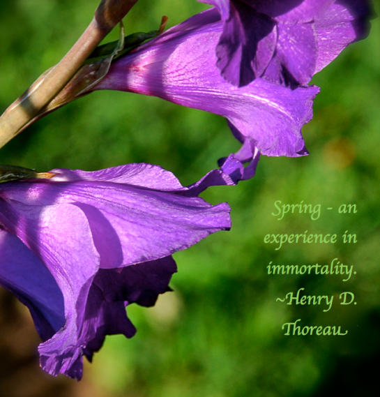 Screen Shot 2017-05-18 at 11.00.50 PM.png