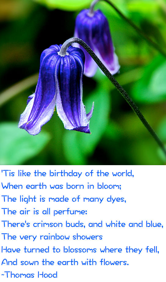 Screen Shot 2017-05-18 at 11.11.42 PM.png