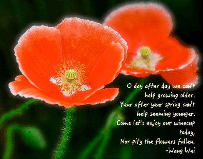 Screen Shot 2017-05-18 at 11.18.37 PM.png