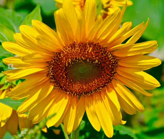 Screen Shot 2017-05-18 at 12.11.00 AM.png