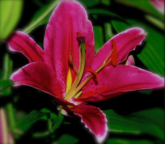 Screen Shot 2017-05-19 at 9.44.32 PM.png