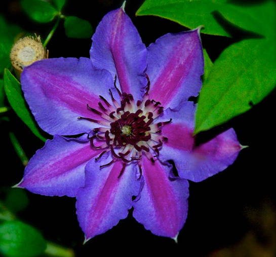 Screen Shot 2017-05-19 at 9.57.56 PM.png