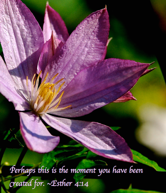 Screen Shot 2017-05-20 at 10.27.56 PM.png