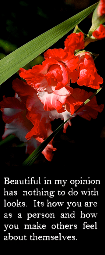 Screen Shot 2017-05-20 at 10.28.57 PM.png