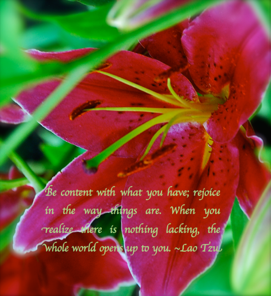 Screen Shot 2017-05-20 at 10.34.44 PM.png