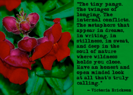 Screen Shot 2017-05-22 at 10.33.21 PM.png