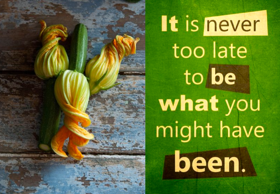 Screen Shot 2017-05-24 at 10.03.43 PM.png