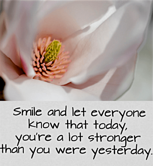 Screen Shot 2017-05-24 at 10.07.46 PM.png