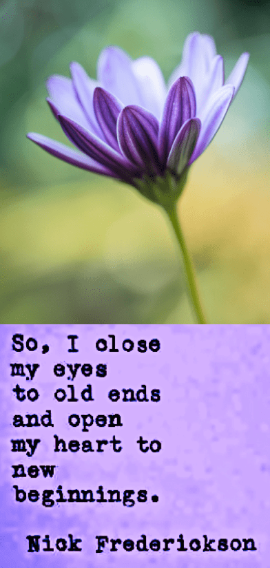 Screen Shot 2017-05-24 at 10.10.54 PM.png