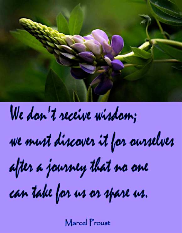 Screen Shot 2017-05-24 at 10.13.35 PM.png