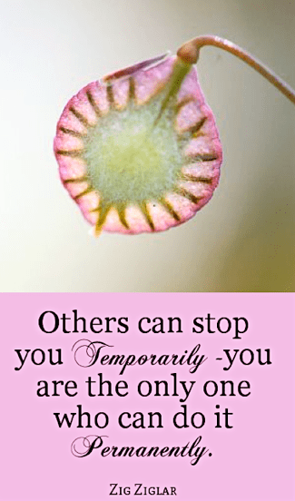 Screen Shot 2017-05-24 at 10.19.52 PM.png