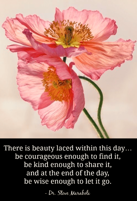 Screen Shot 2017-05-24 at 10.23.35 PM.png