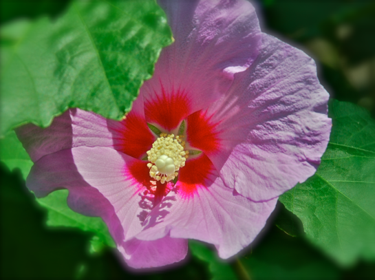 Screen Shot 2017-05-24 at 9.24.02 PM.png