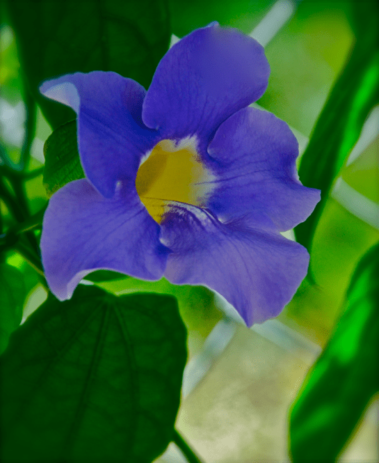 Screen Shot 2017-05-24 at 9.29.14 PM.png