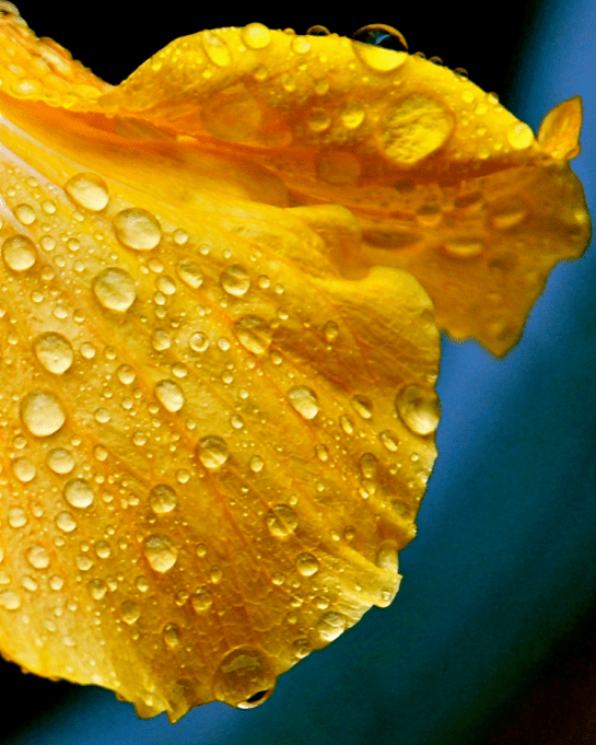 Screen Shot 2017-05-24 at 9.32.59 PM.png