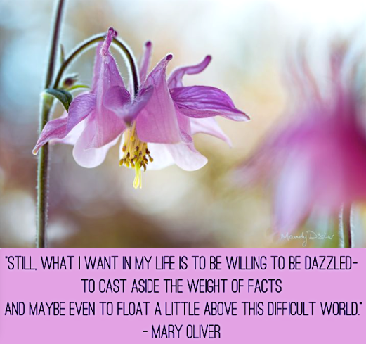 Screen Shot 2017-05-26 at 10.01.33 PM.png