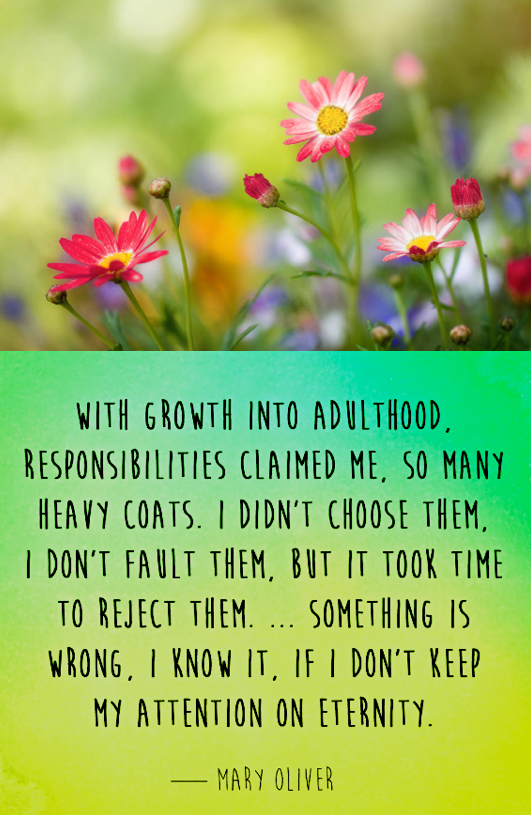 Screen Shot 2017-05-26 at 10.04.02 PM.png