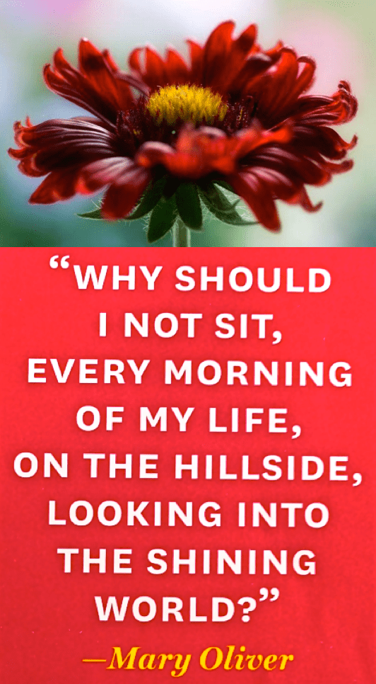 Screen Shot 2017-05-26 at 10.09.55 PM.png