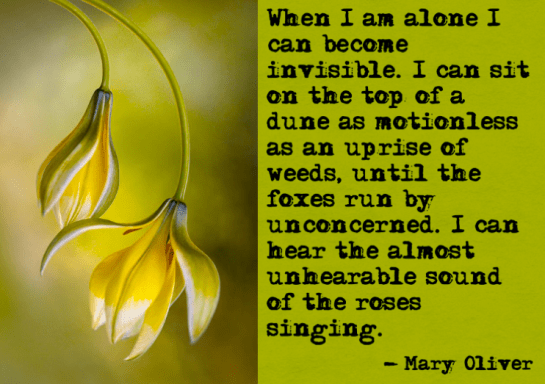 Screen Shot 2017-05-26 at 10.15.03 PM.png